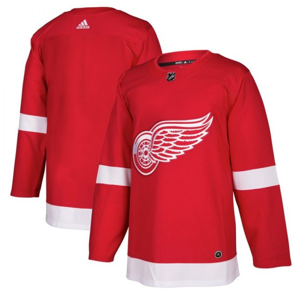 Men's  Detroit Red Wings Red Stitched NHL Jersey